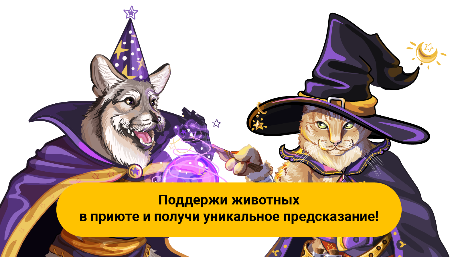 «Битва магов»: поддержи хвостатых волшебников — команду собак или команду кошек