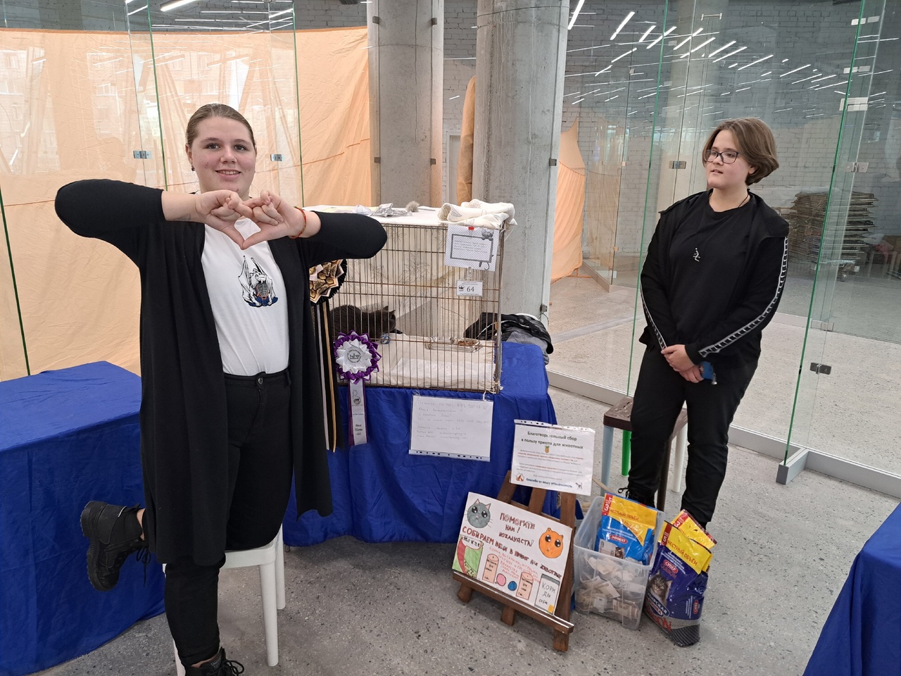 Добро перед Рождеством или необычный волонтёр