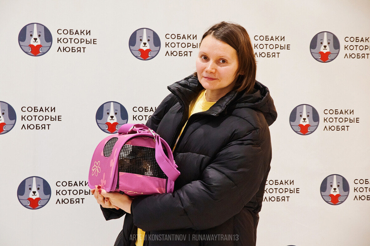 17 котиков обрели дом и любящую семью на фестивале «Котики, которые любят»