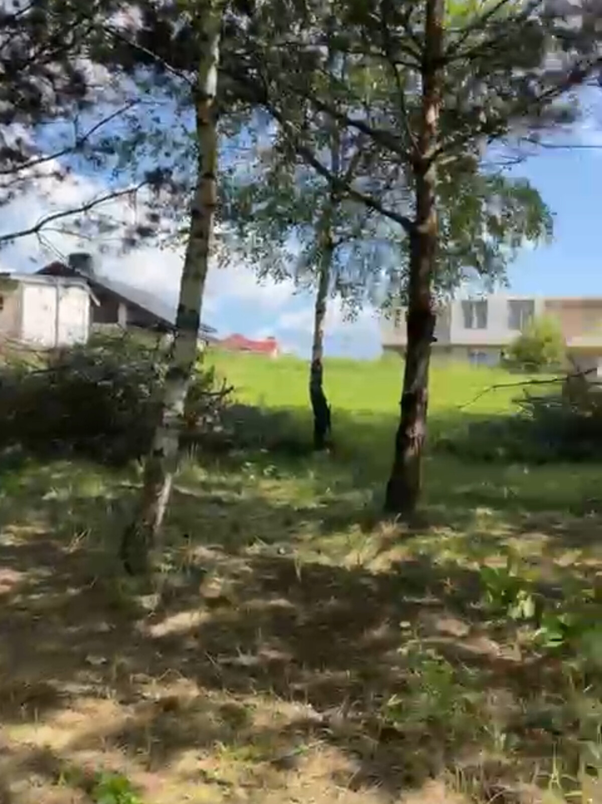 Санитарная обрезка деревьев