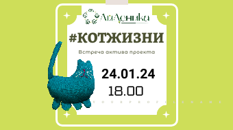 Встреча актива проекта #КотЖизни пройдет в Зеленограде 24 января в офисе центра «Айденика»