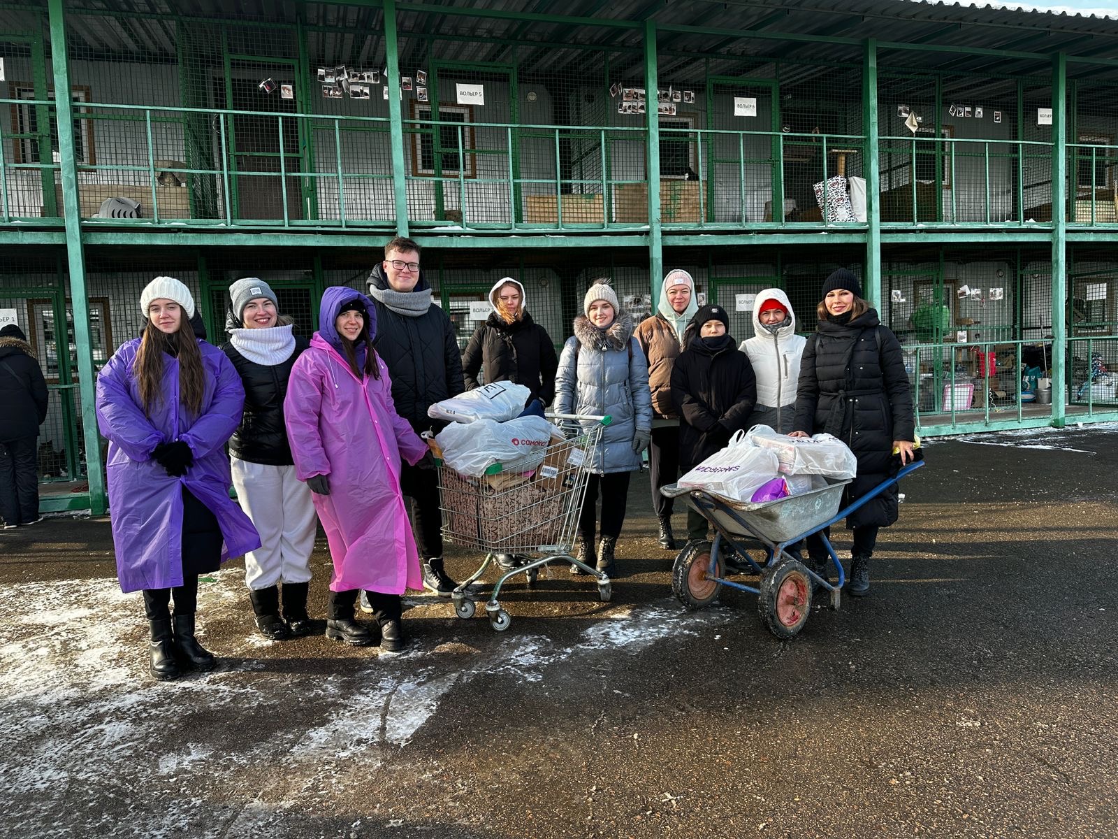 Не зря говорят, что собаки верные и очень умные животные