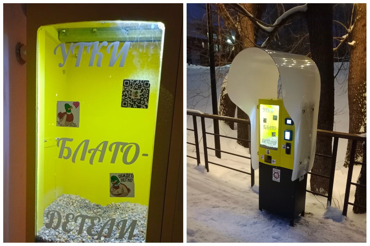 Самый добрый «уткомат»: в Башкортостане появились автоматы с кормом для уток, а собранные деньги…