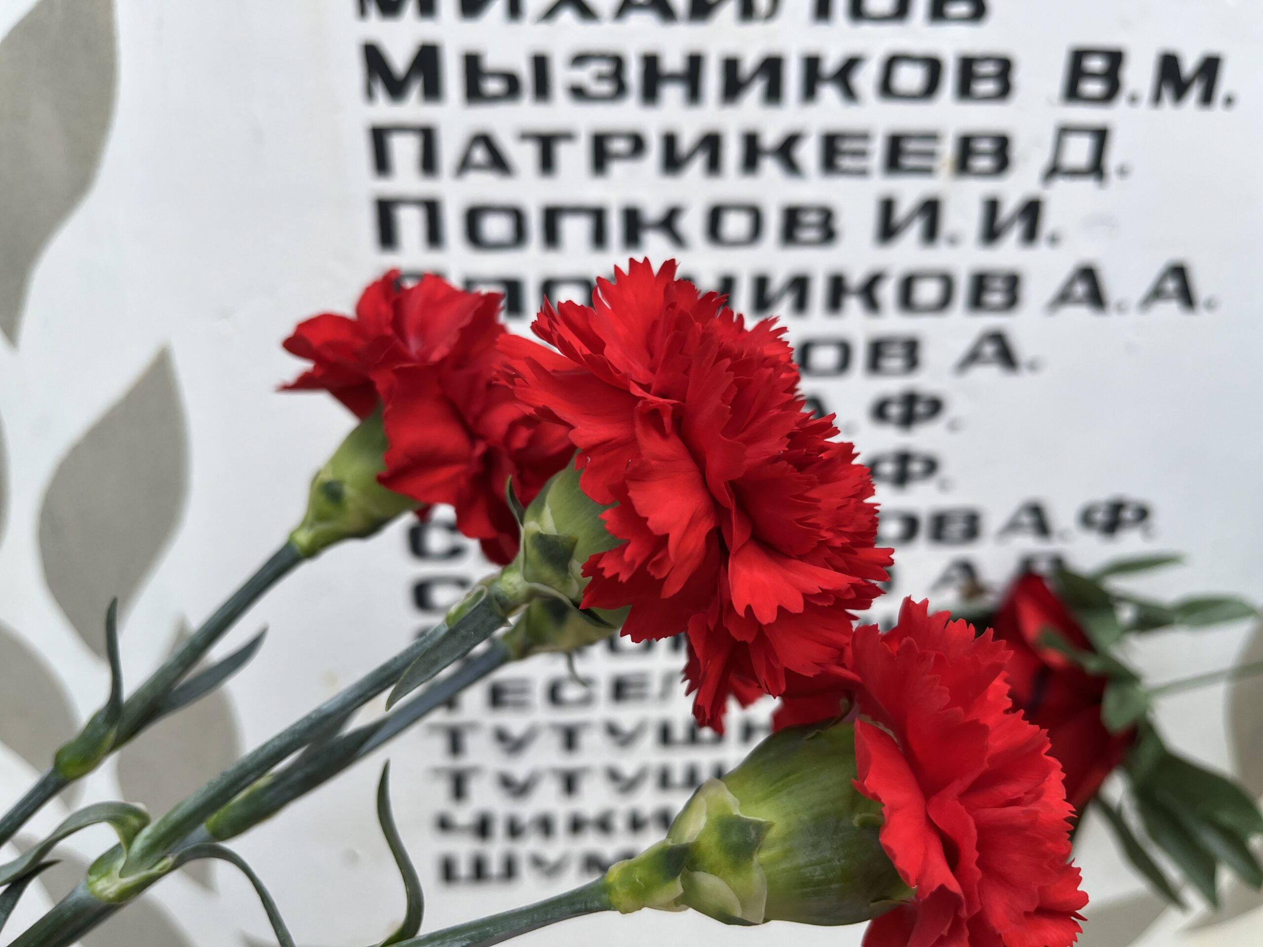 Волонтеры отряда «Поколение» выставили почётный караул, возложили цветы к памятнику павшим в годы…