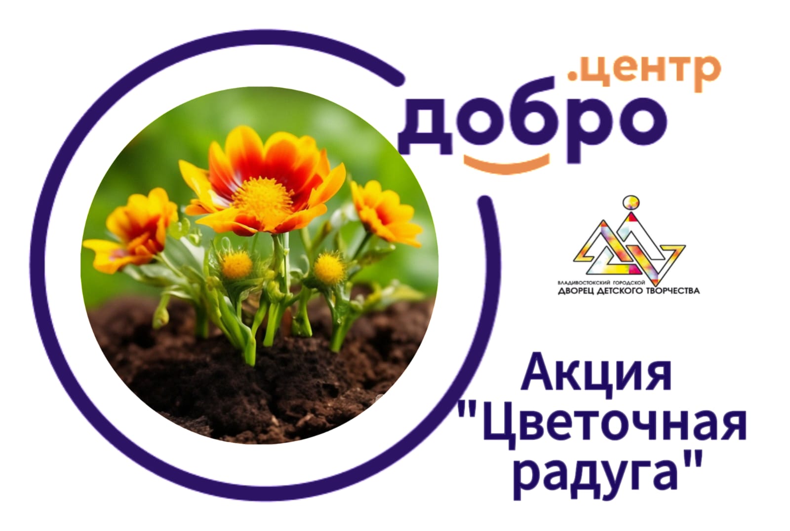 «Цветочная радуга» может появиться во Владивостоке