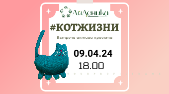 #КотЖизни — встреча актива 9 апреля 2024 в 18.00