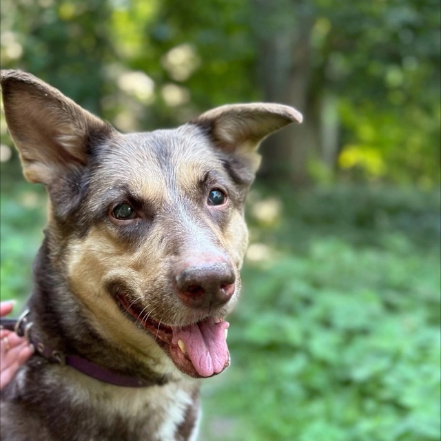 Прости нас, Циля!