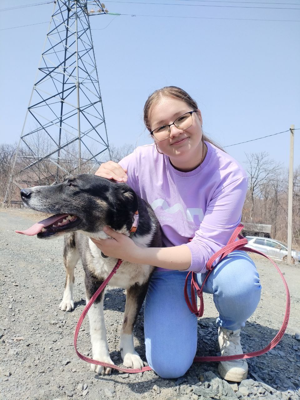 Выезд в фонд помощи бездомным животным «УМКА»