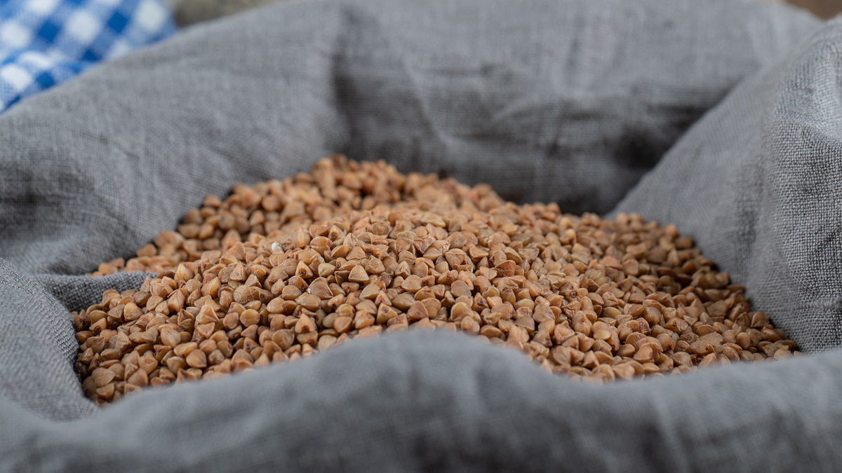 Елисей Гречкосей: народные приметы на сегодня, 27 июня