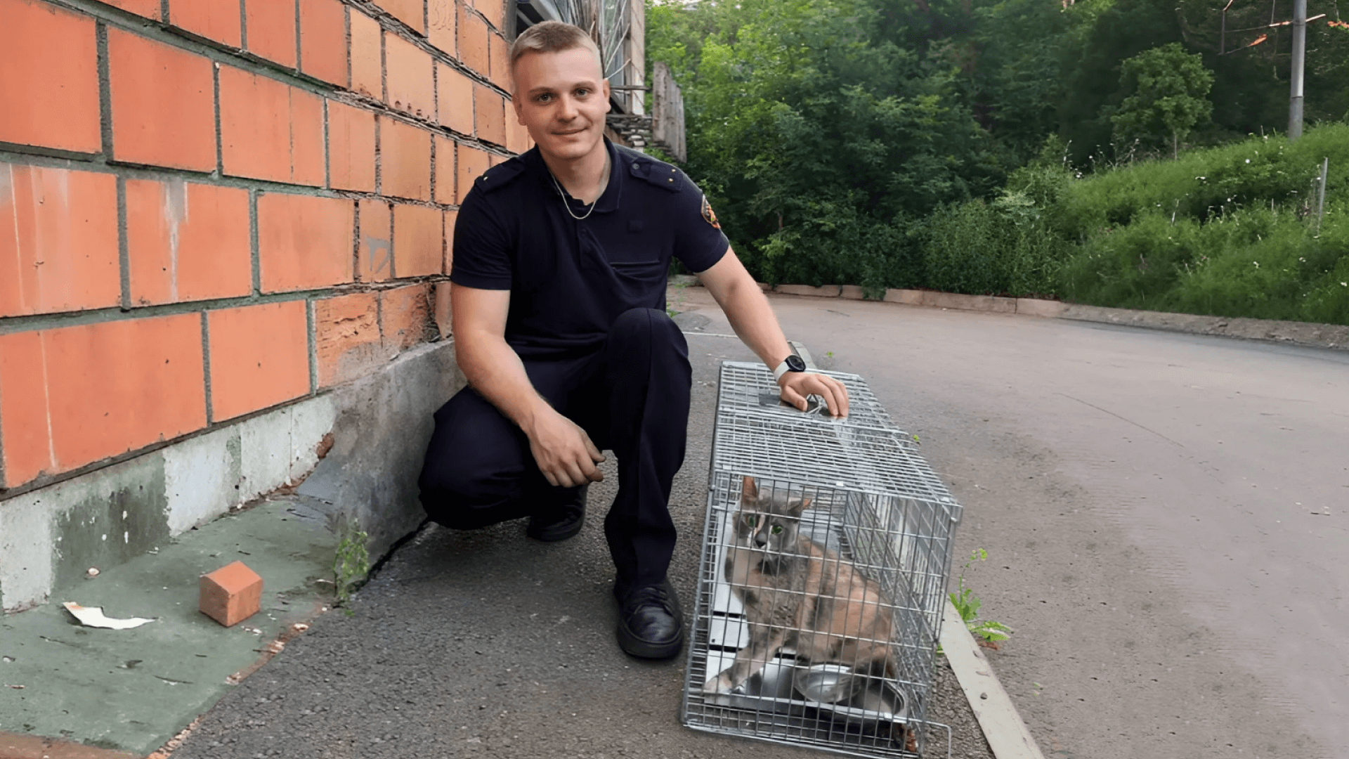 В Красноярске полицейские спасли кота, запертого в квартире