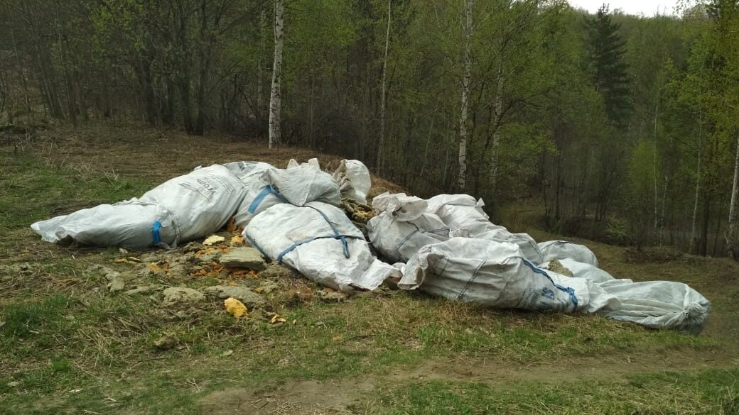 «Дети не должны думать, что это нормально»: томская учительница создала карту свалок и борется с мусором