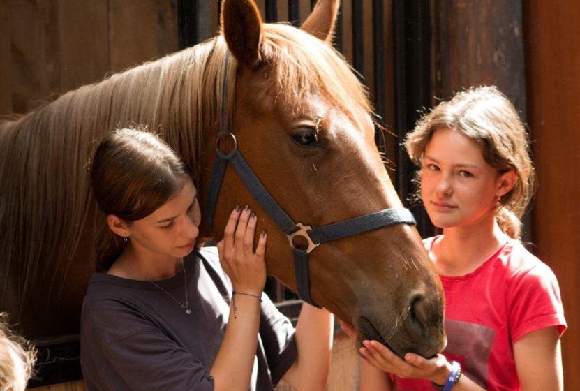 Питомцам клуба верховой езды «Эквитерра» будет больше угощений.