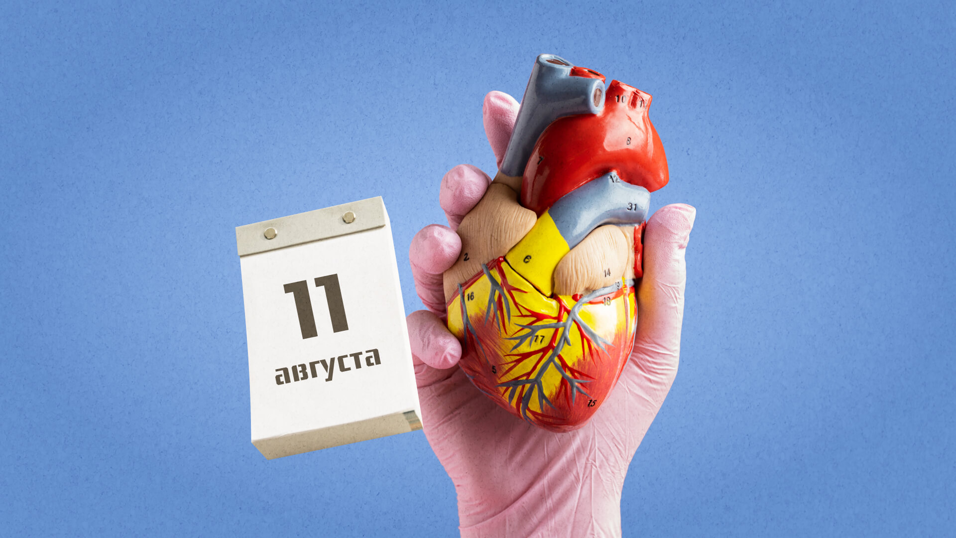 11 августа: какой сегодня праздник отмечают в России и мире?