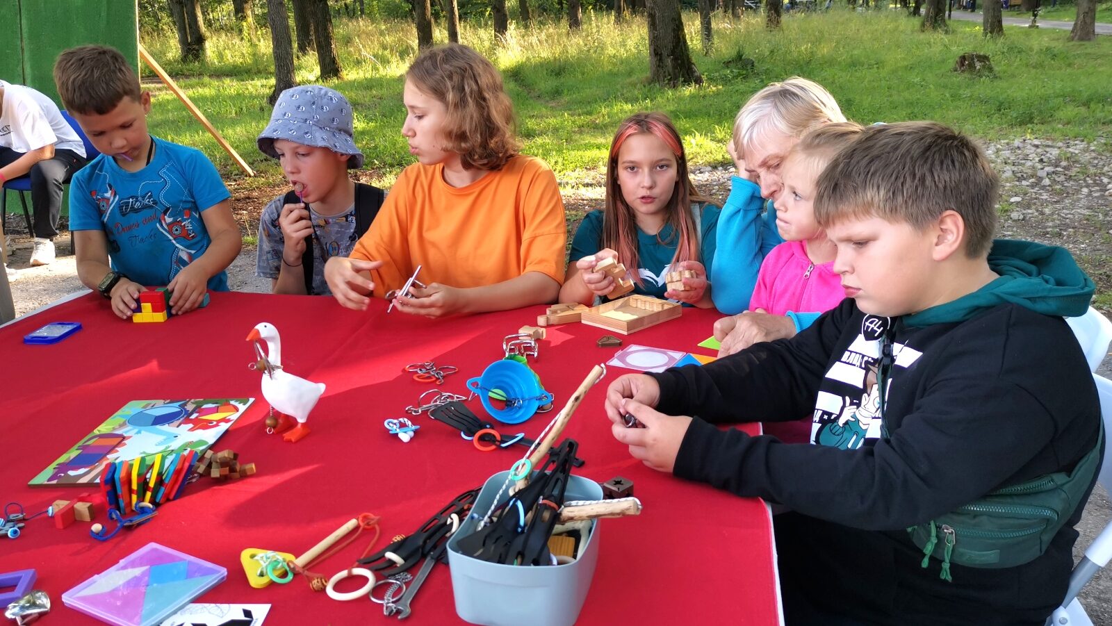 Головоломочный практикум на молодёжном пространстве «Газон» Щекино