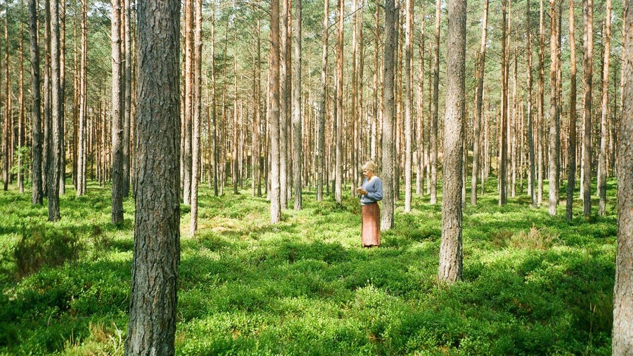 Наталья Овсяница: народные приметы на сегодня – 8 сентября