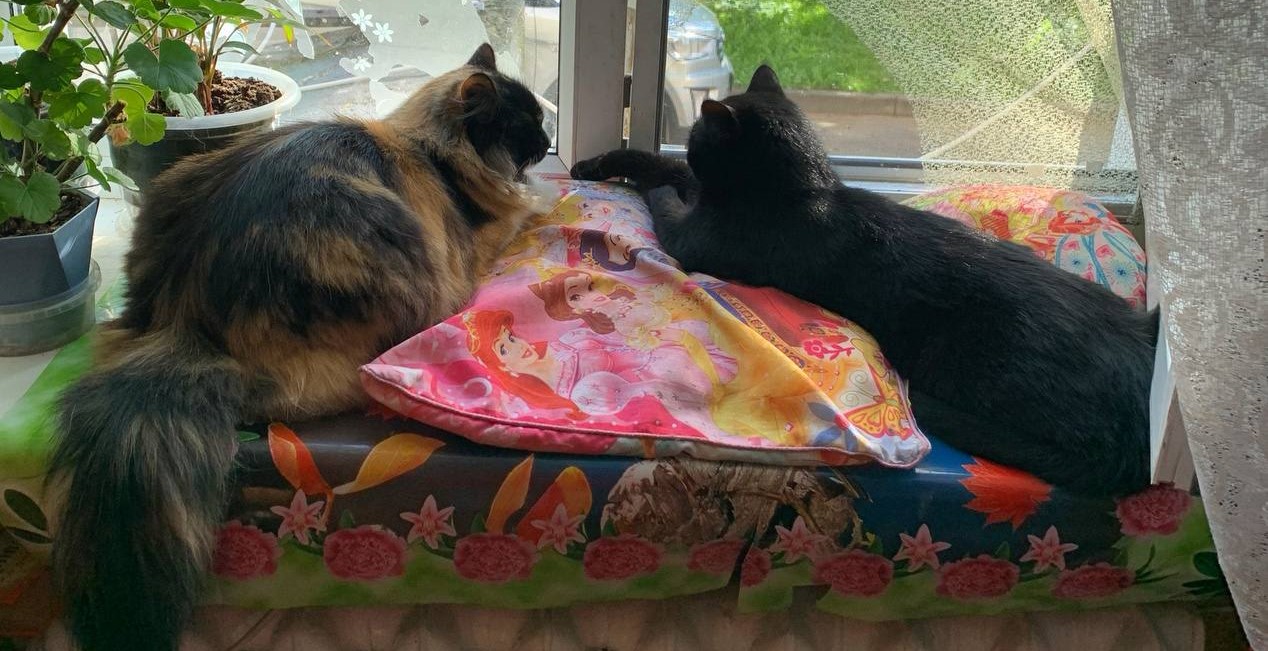 Доброта спасет мир