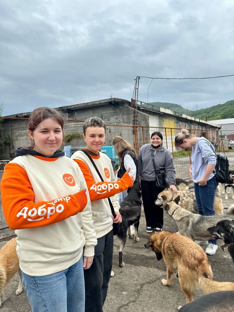 «Помощь братьям нашим меньшим»