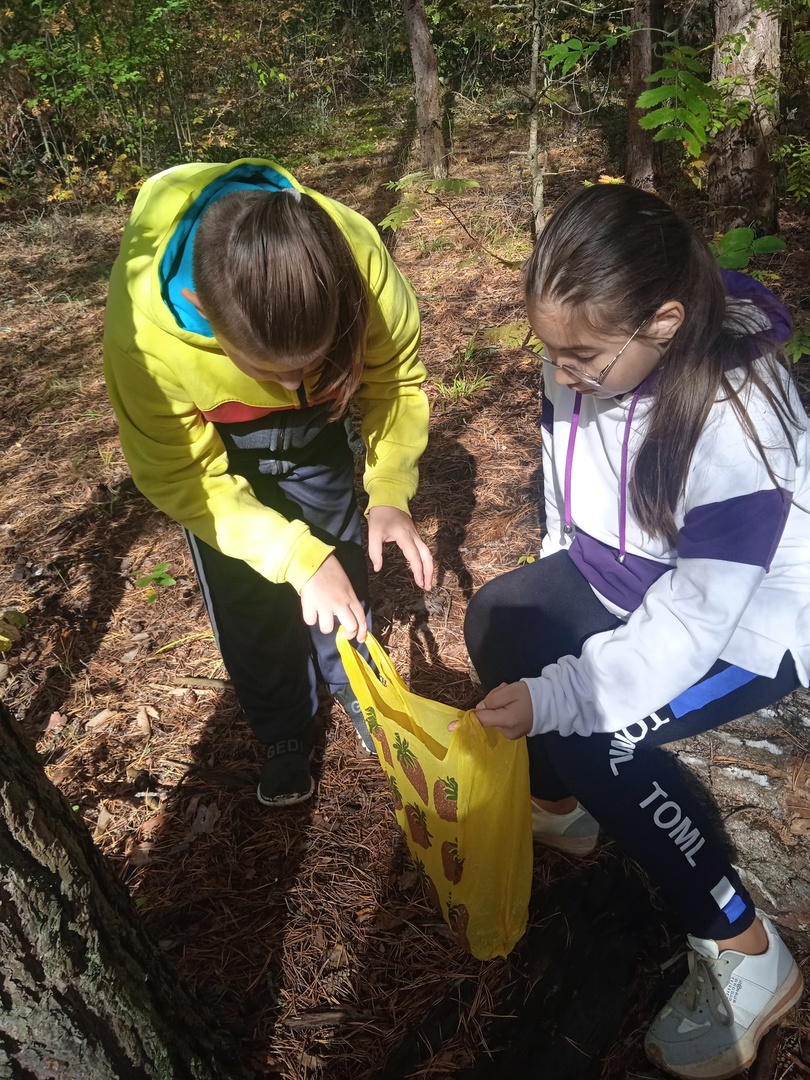 Как Старковы субботник провели