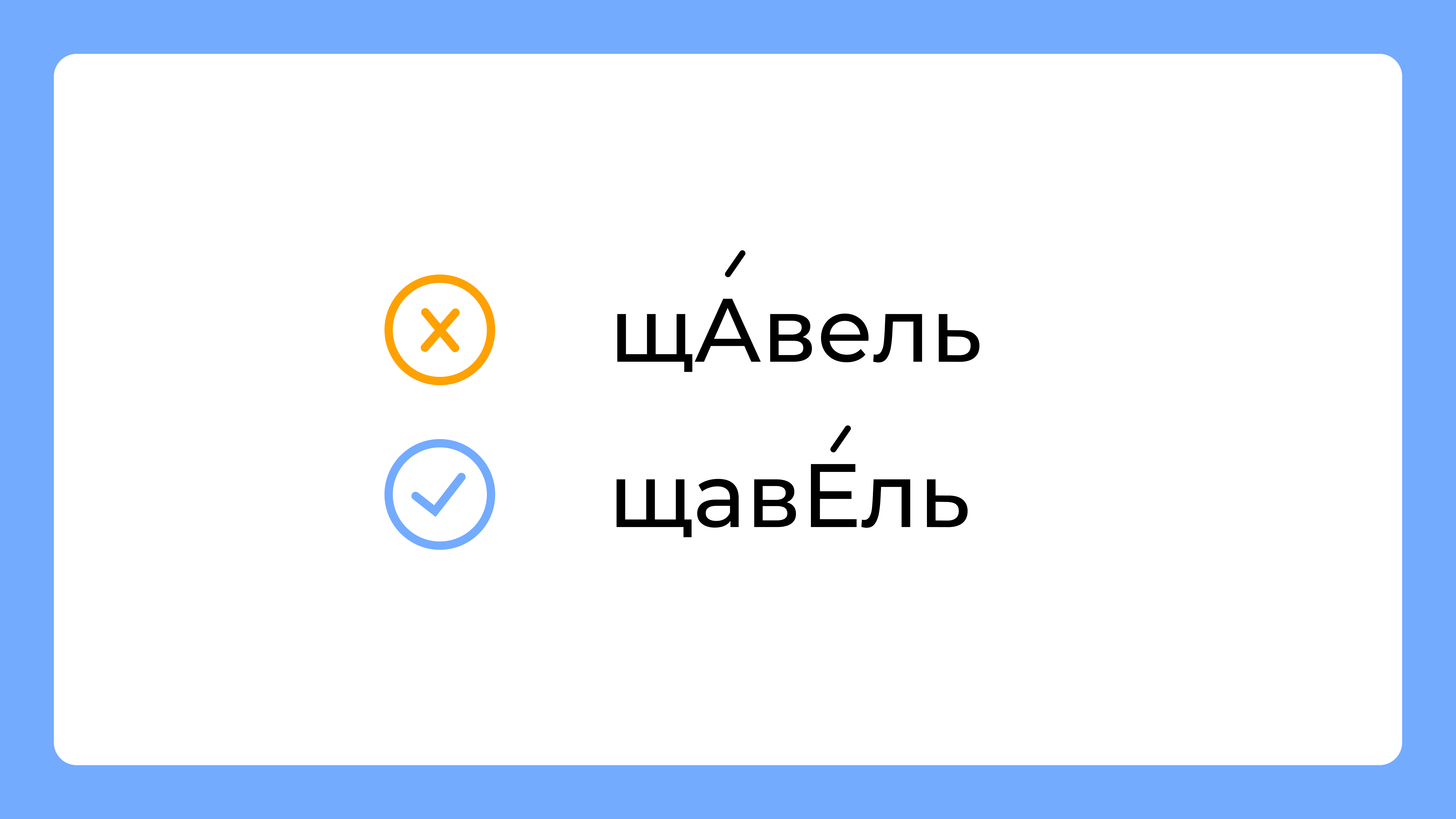 Каталог, шарфы, щавель – куда ставить ударение? Объясняют педагоги