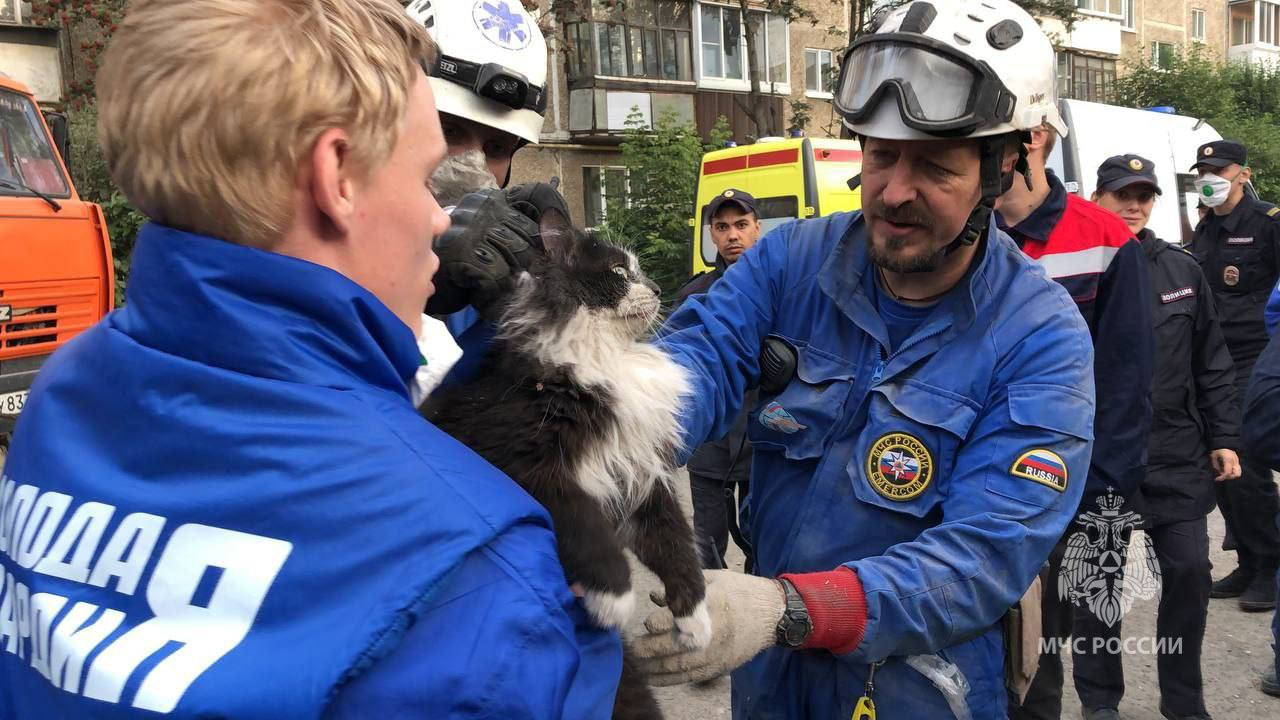 Обрушение дома в Нижнем Тагиле: МЧС спасло 15 человек и кота