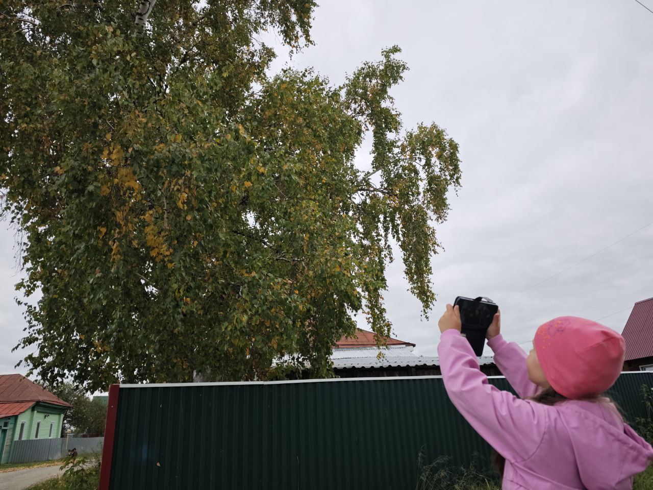 Шестилетняя Вика из Томской области занимается научным волонтерством