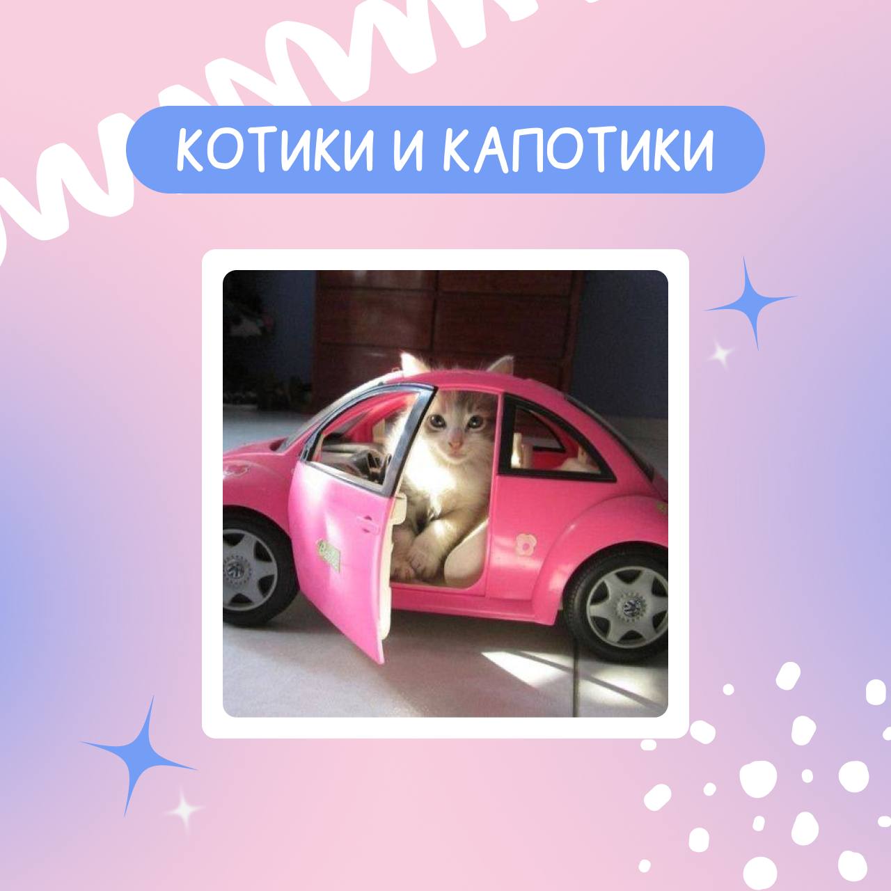 Котики и капотики