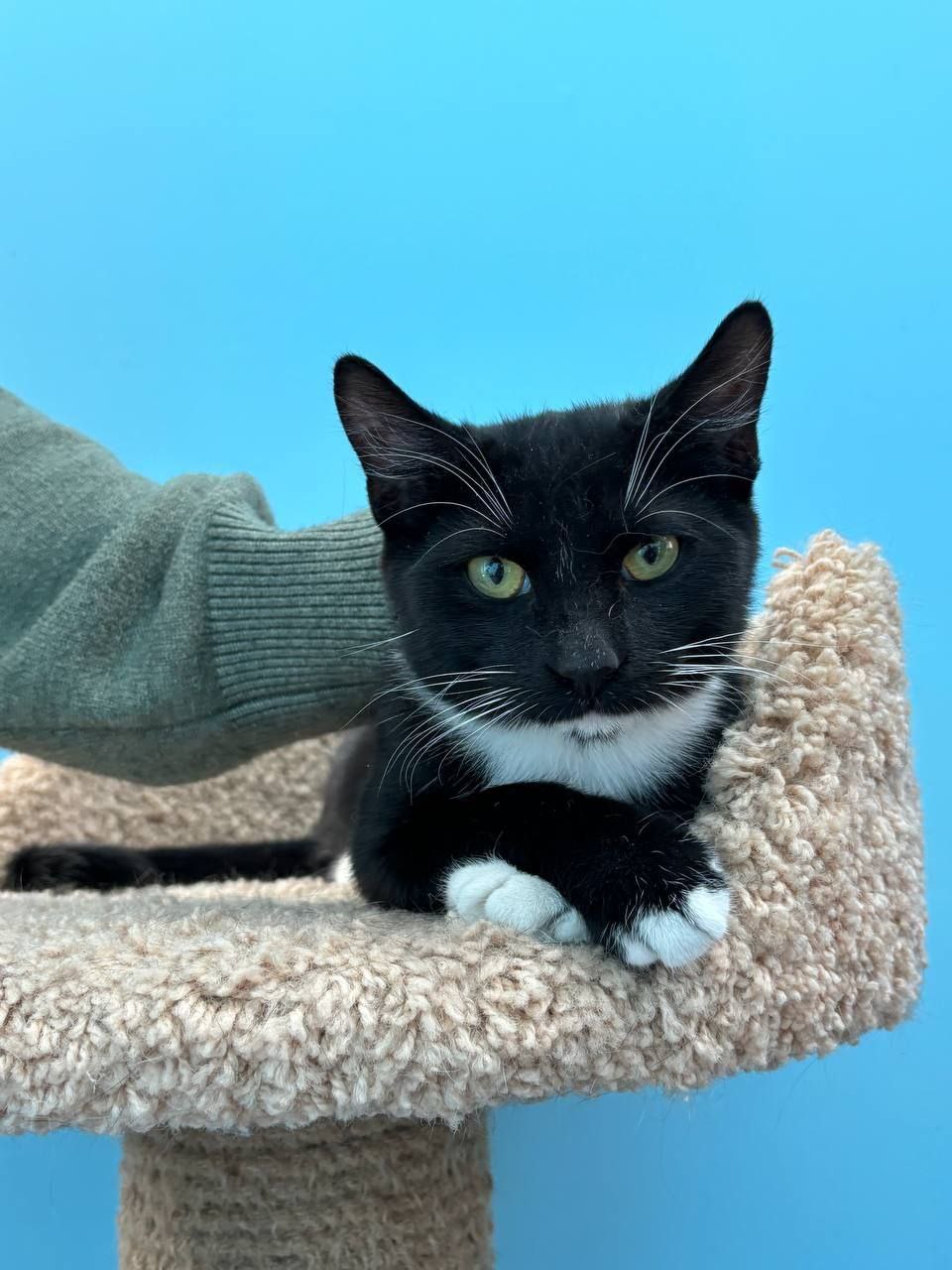 Фонд помощи бездомным животным «Друг»