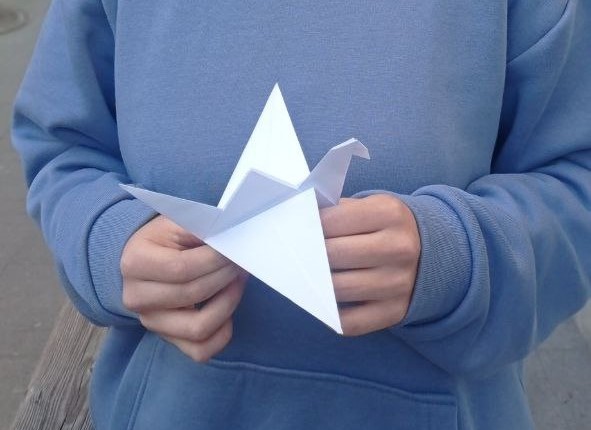 День белых журавлей отметили в Севастополе