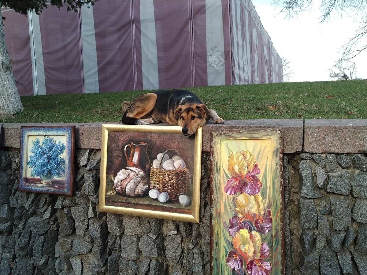 Без милосердия мир был бы…