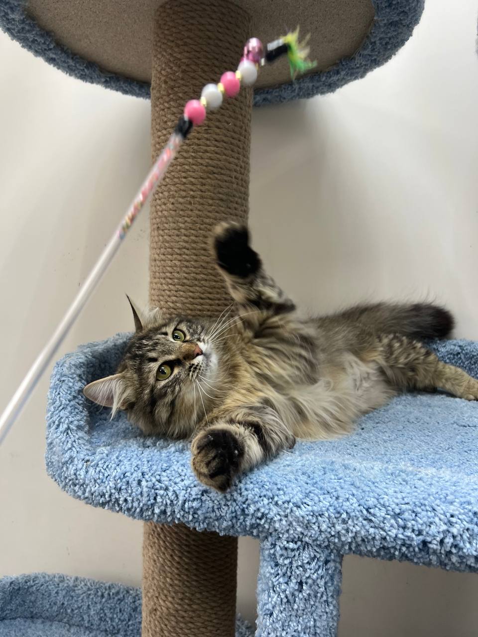 «Без милосердия мир был бы…»