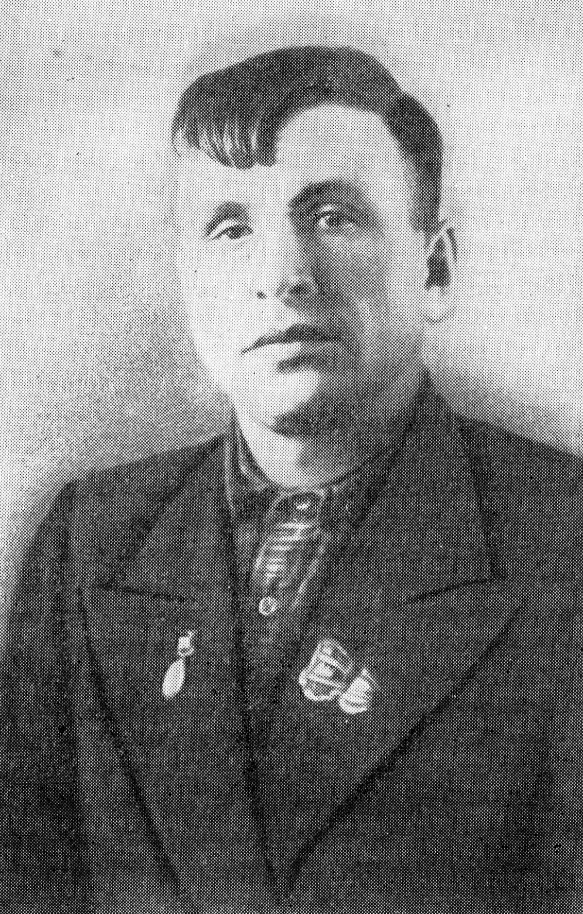 Лучший электропильщик страны