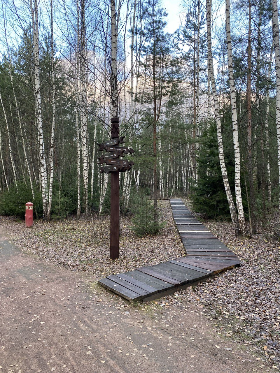 Тепло ваших сердец согреет их зимой