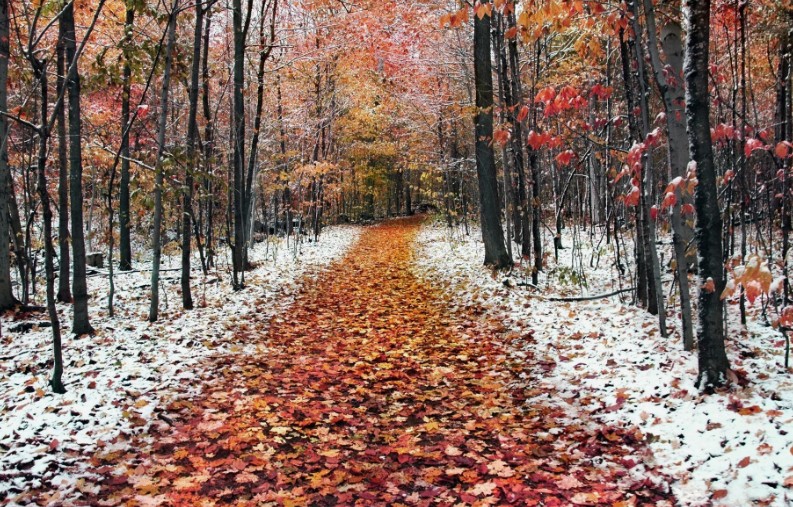 Холодное дыхание зимы