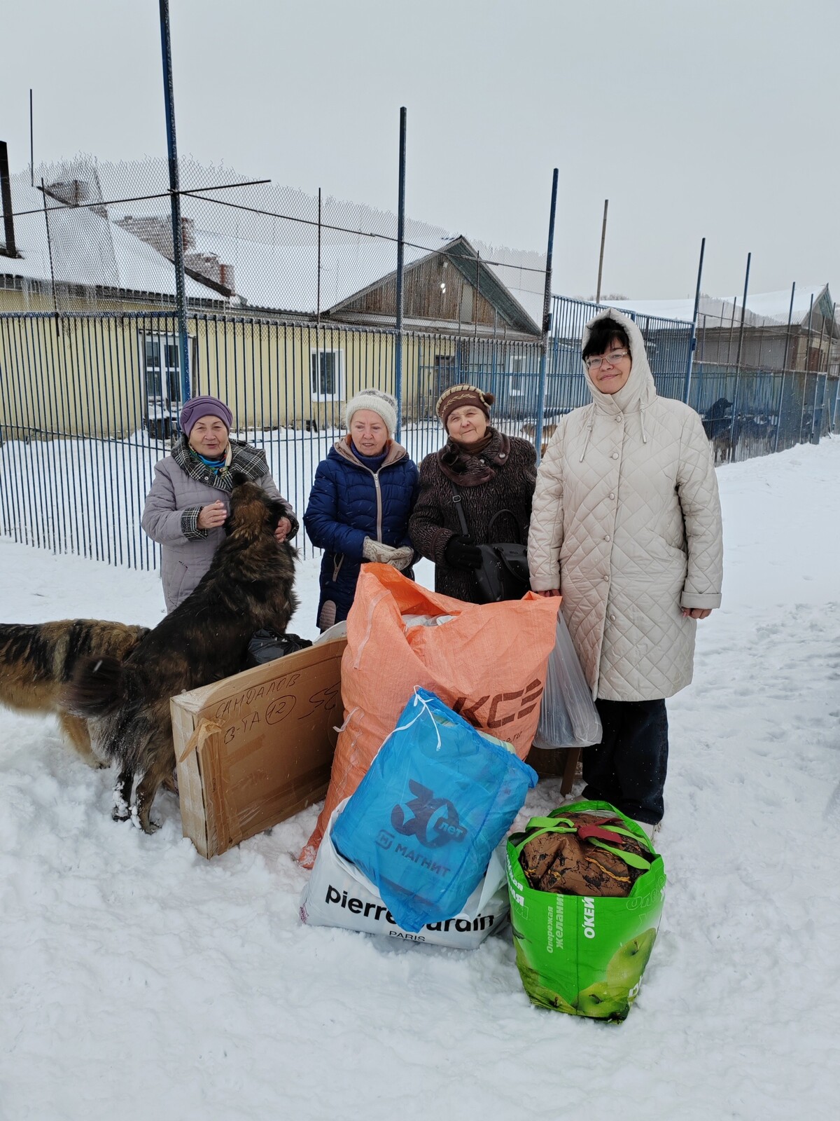 Акция «В гости к четвероногим друзьям».