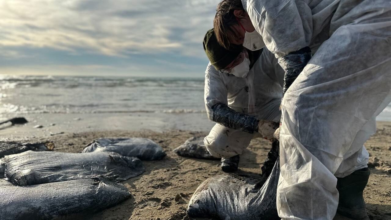 Добровольцы КубГУ помогают в ликвидации ЧС на побережье