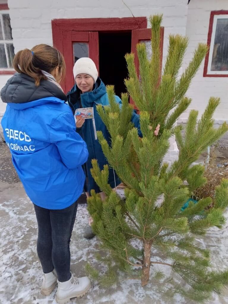 Елка в каждый дом