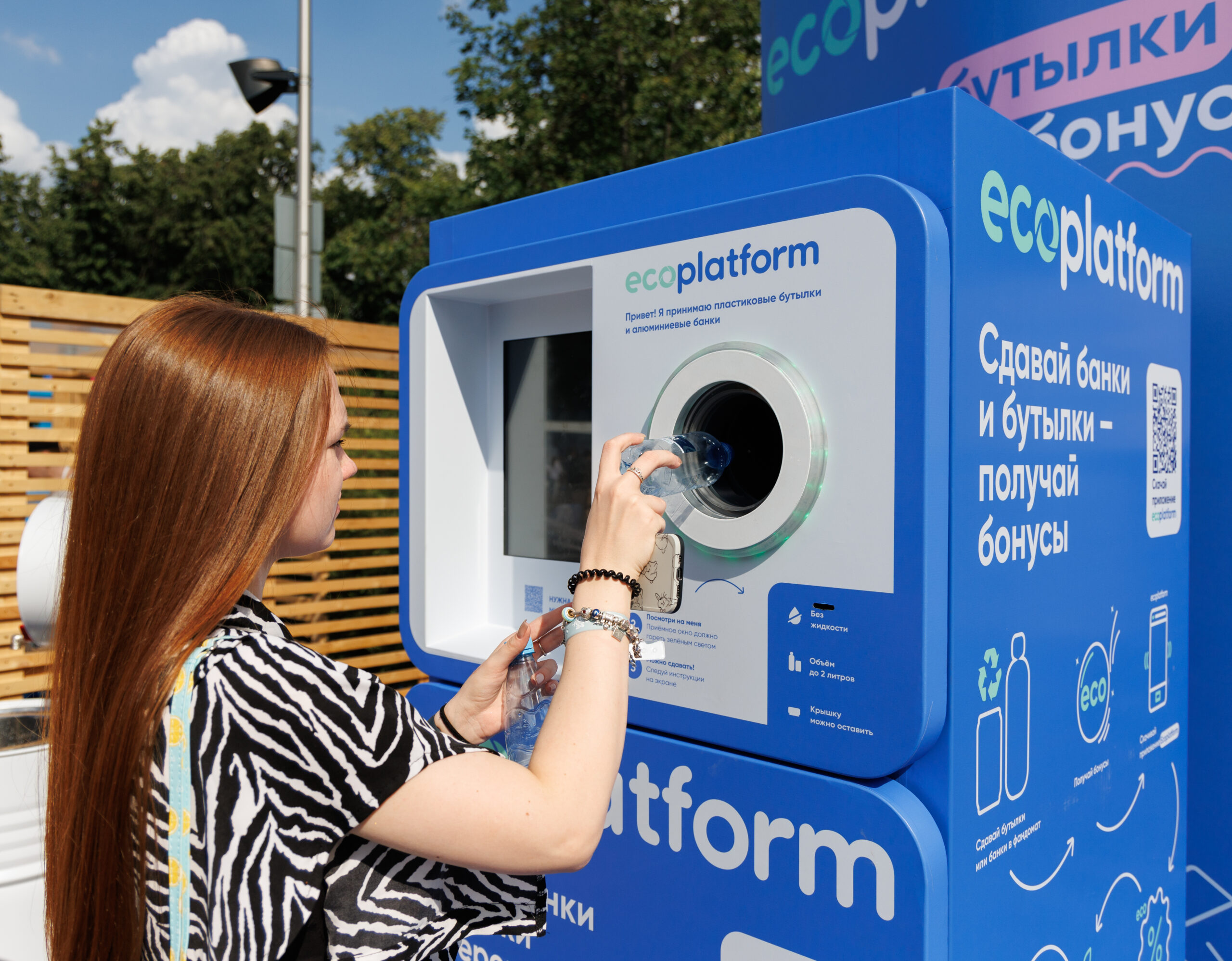 Россияне смогут восстановить еловые леса, сдавая на переработку пластик и текстиль