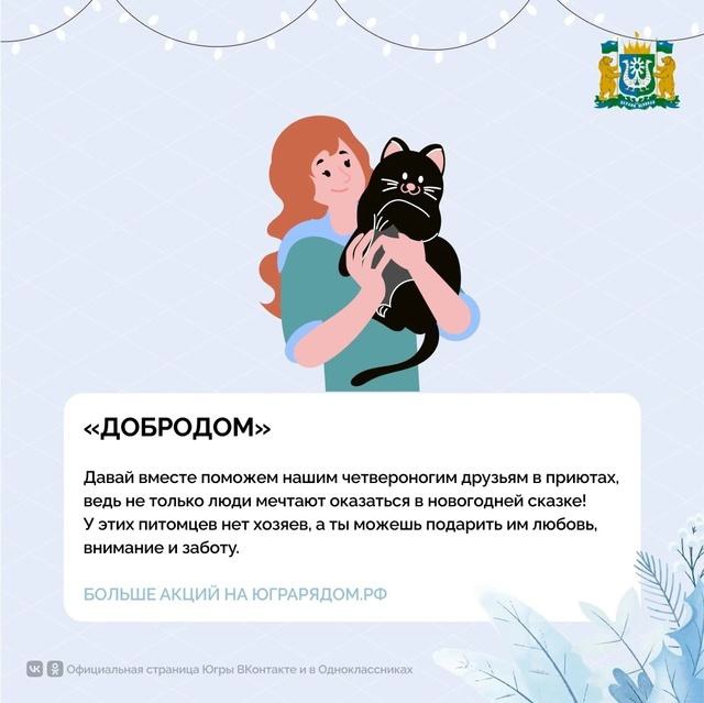 Акция «ДоброДом»: сбор кормов для животных