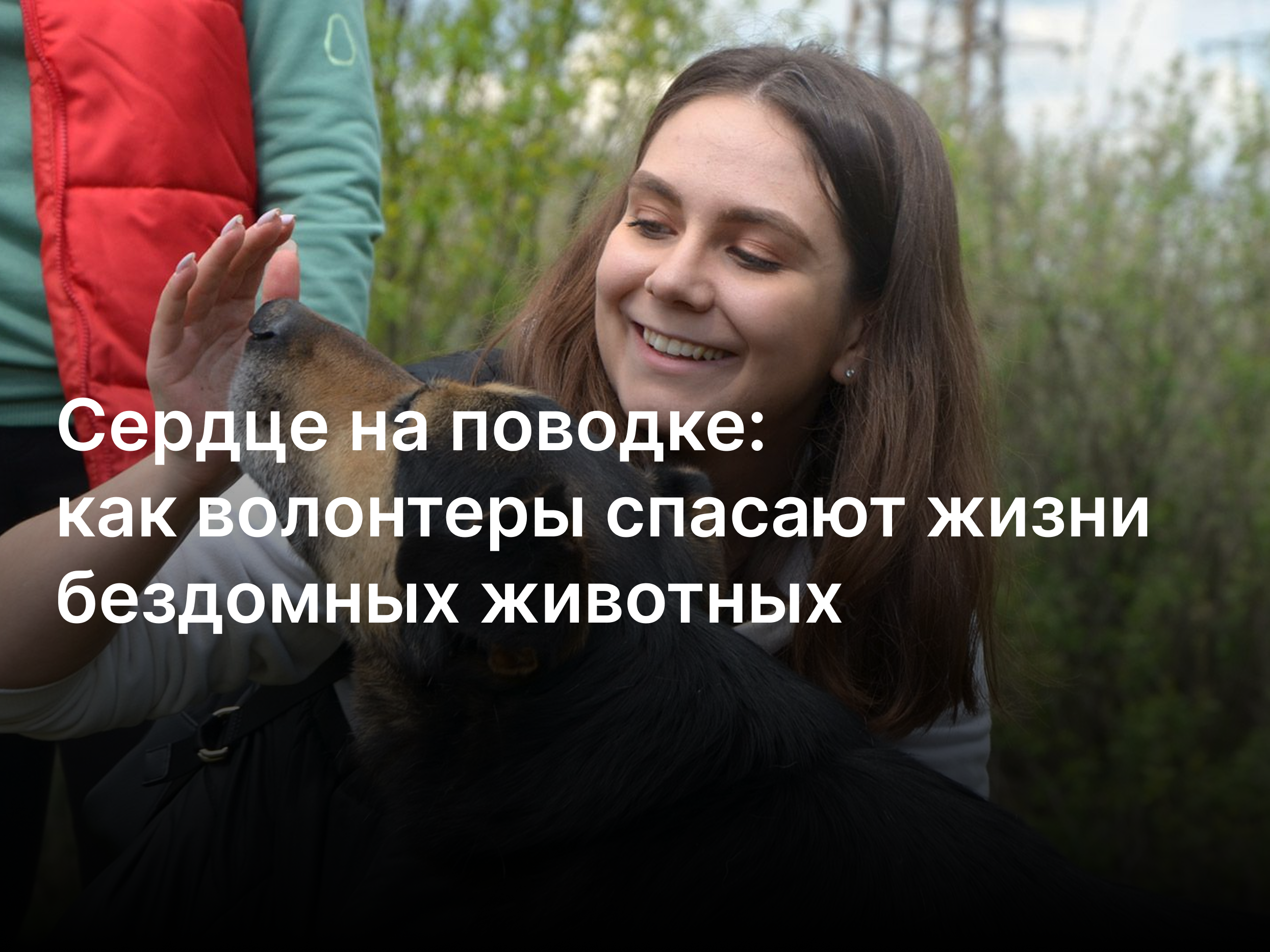 Сердце на поводке: как волонтеры спасают жизни бездомных животных