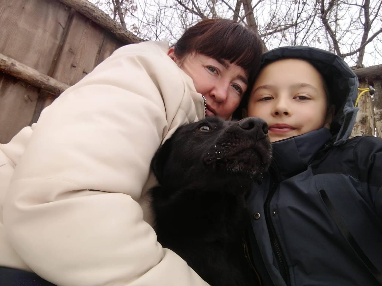 Зооволонтёрство – в действии