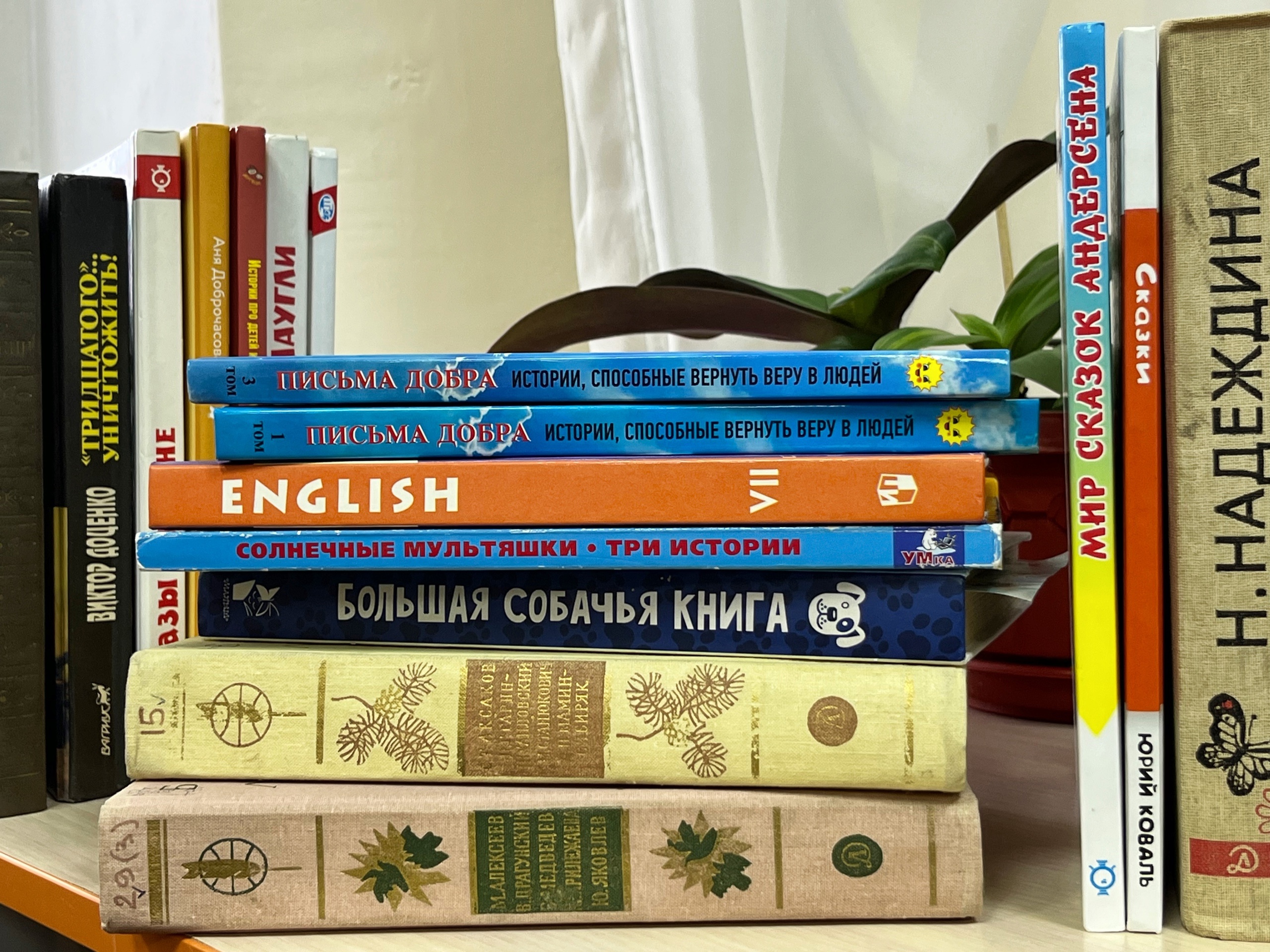 День Книгодарения