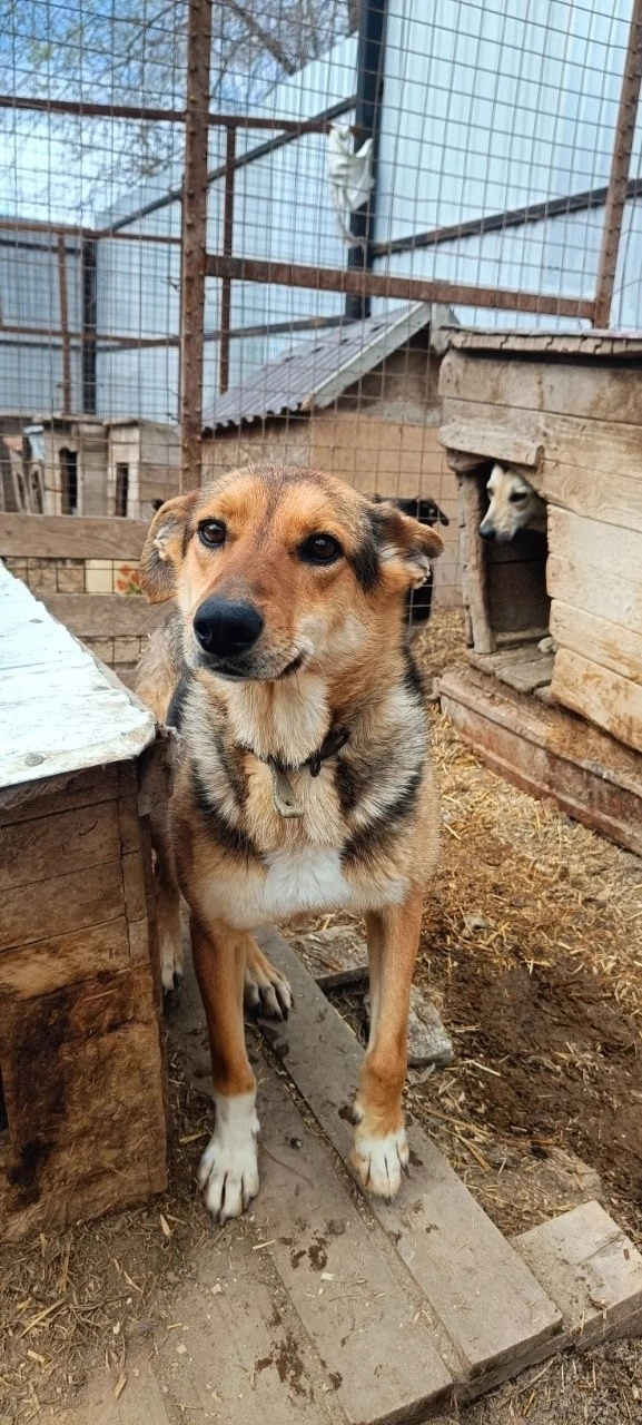 ❤ Соня очень хочет найти семью! ?