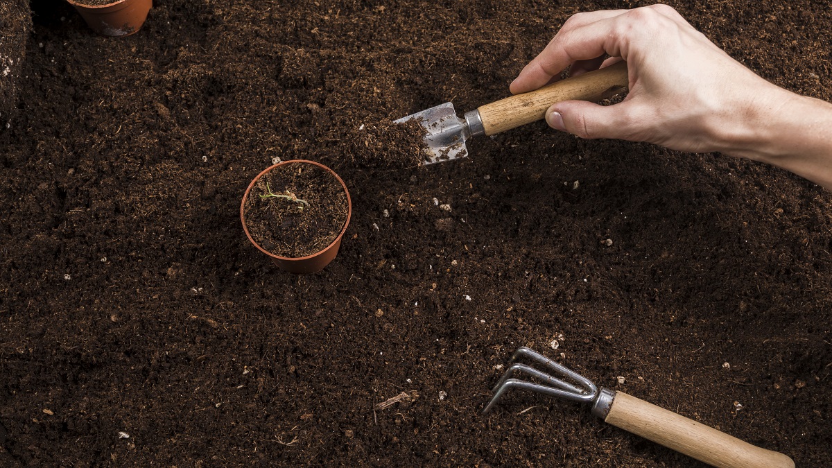 Кузьма Огородник: народные приметы на сегодня, 1 мая