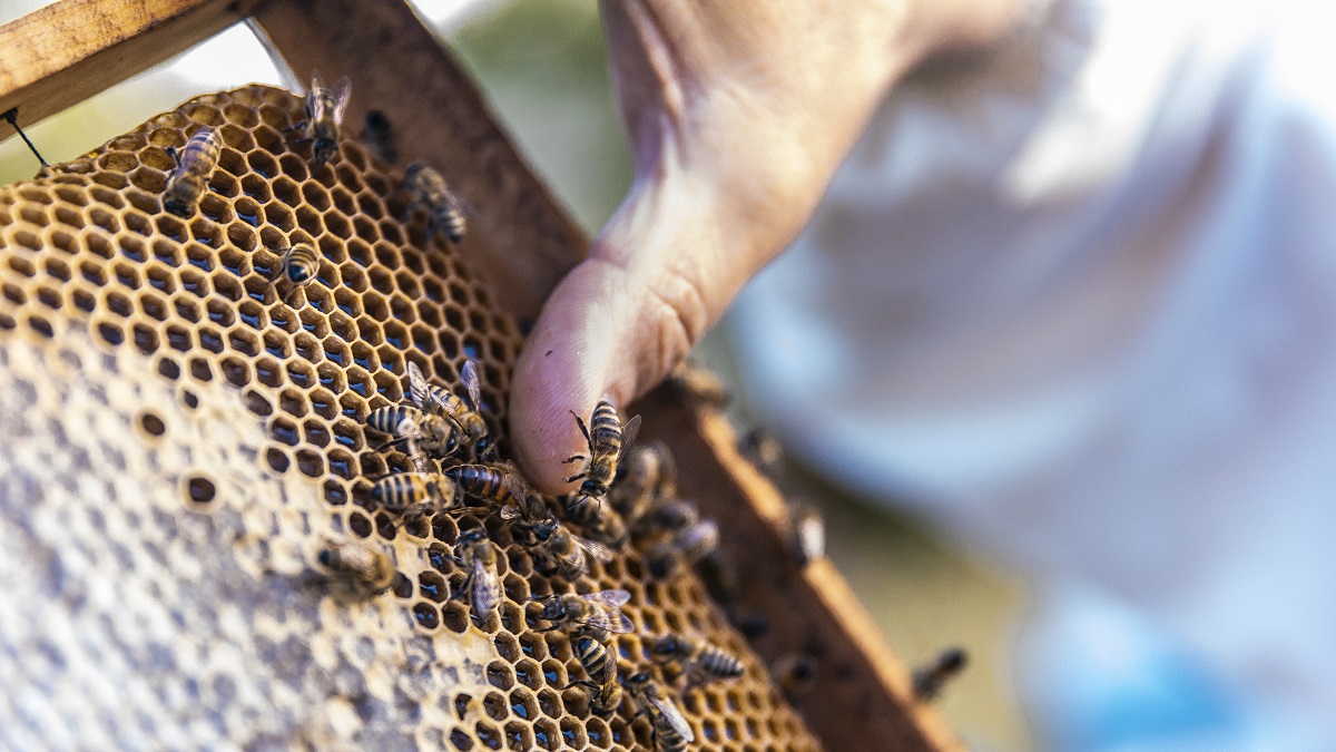 Пудов день: народные приметы на сегодня, 28 апреля