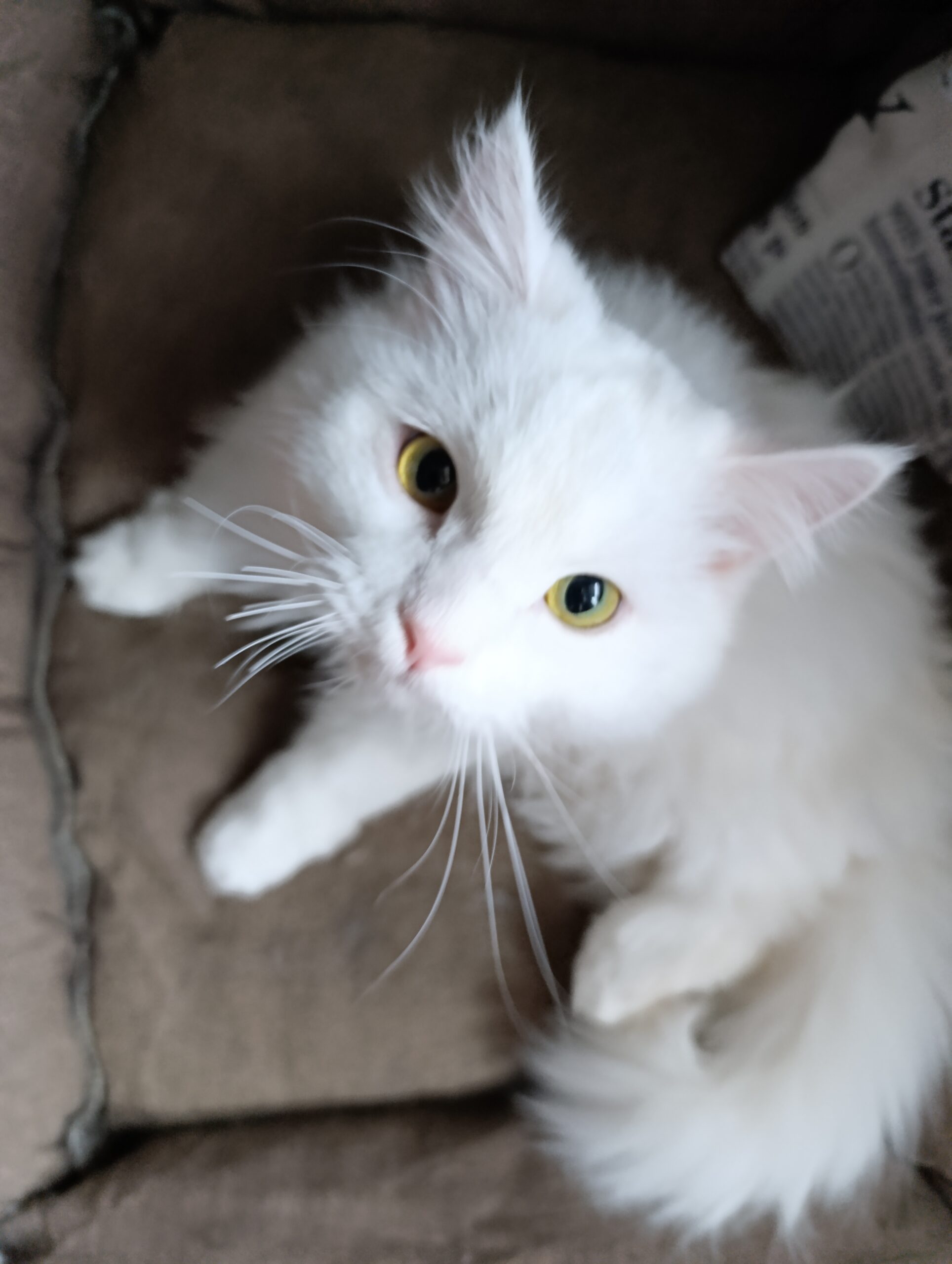 История  спасения Эрика