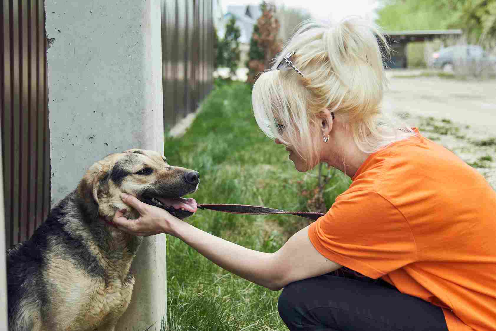 В Липецкой области завершилась Общероссийская акция «Весенняя Неделя Добра»