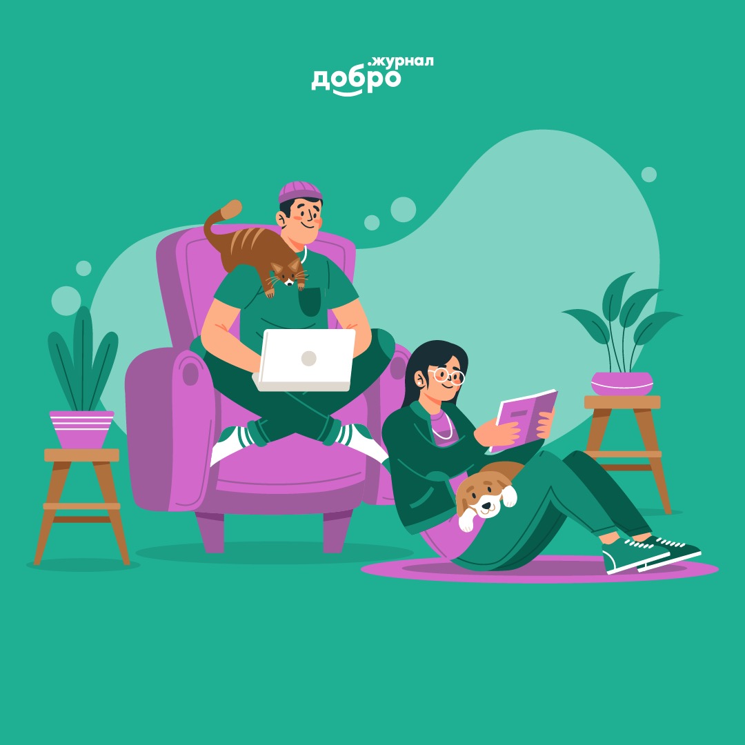 ⭐Мы с радостью подводим итоги нашей работы за два месяца — ноябрь и декабрь 2024 года.?