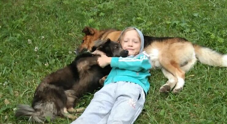 Животные спасают людей: семь историй про отвагу питомцев