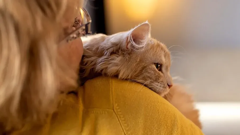 Доброе дело: ББР Банк помог приюту «Преданное сердце»