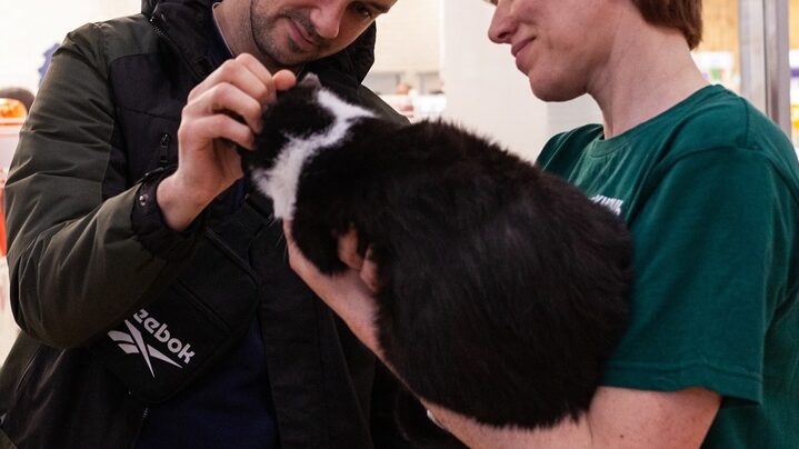 «Это была задача со звёздочками»: волонтёры с трудом спасли кошку с котятами из теплоузла